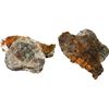 Image 1 : BOLIVIA, Potosí, clump of one cob 4 reales "biscuit" and chunk of coral, Philip IV, assayer not visi