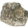 Image 2 : MEXICO, Mexico City, cob 8 reales "biscuit," Philip IV, assayer not visible, encrusted as found, ex-