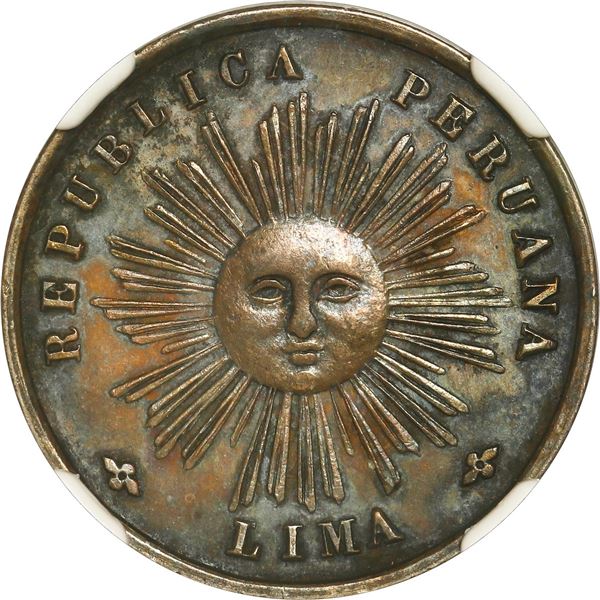 PERU, Lima, 1/5 sol-sized silver medal, 1877, banknote incineration, NGC AU details / environmental 