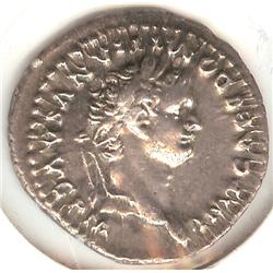 Domitian Denarius 87 AD