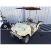 Image 1 : Tyler Dunn Golf Cart