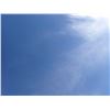 Image 1 : Empty Lot