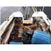 Image 6 : 1977 Sea Ray