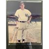 Image 1 : NY Yankees Moose Skowron signed photo