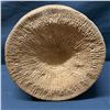Image 16 : Qty 2 Woven Baskets: Large Pail & Small Bowl, Misc Sizes