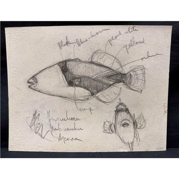 Ossipoff Fish Sketch Humuhumunukunukuāpuaʻa