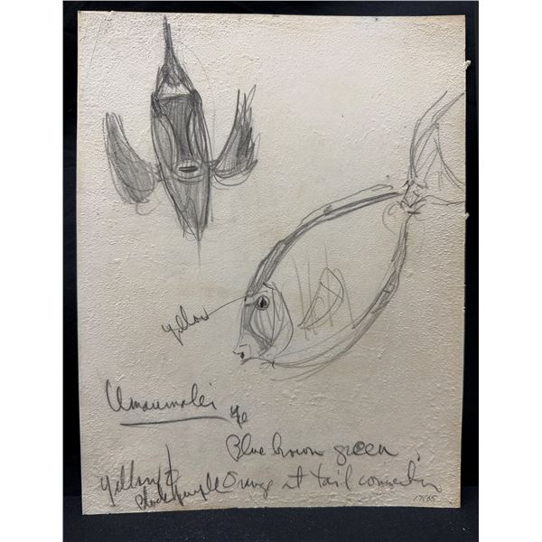 Vladimir Ossipoff Fish Sketch Umaumalei, Color Notes