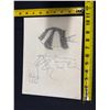 Image 4 : Vladimir Ossipoff Samoan Reef Fish Sketch