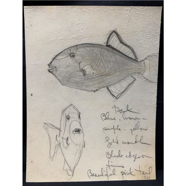 Vladimir Ossipoff Fish Sketch Humuhumu Hiʻu Kole
