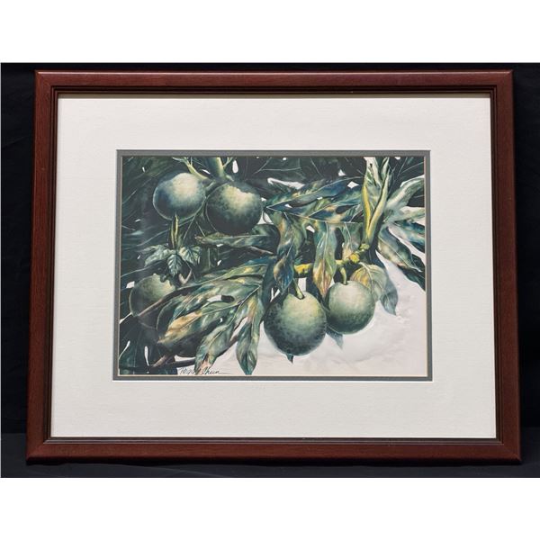 Peggy Chun 1997 Breadfruit ('ulu) Watercolor