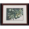 Image 1 : Peggy Chun 1997 Breadfruit ('ulu) Watercolor