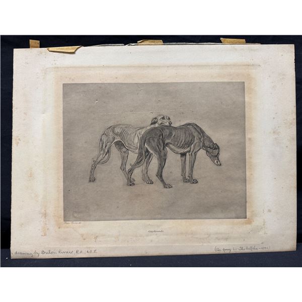 Greyhounds Art Print Based on Drawing by Briton Riviere, 13.5" x 10", Unframed