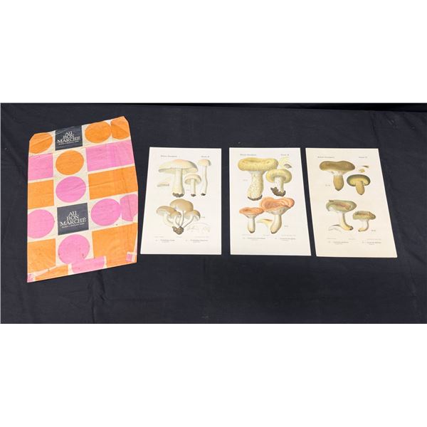 Qty 3 Léon Louis Rolland Mushroom Prints
