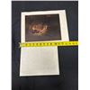 Image 10 : Rembrandt "Self Portrait" Portfolio Print w/ Info Panel