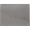 Image 2 : Steven Garon "Blizzard, Hokkaido" 2004 Photograph