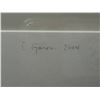 Image 3 : Steven Garon "Blizzard, Hokkaido" 2004 Photograph