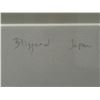 Image 4 : Steven Garon "Blizzard, Hokkaido" 2004 Photograph