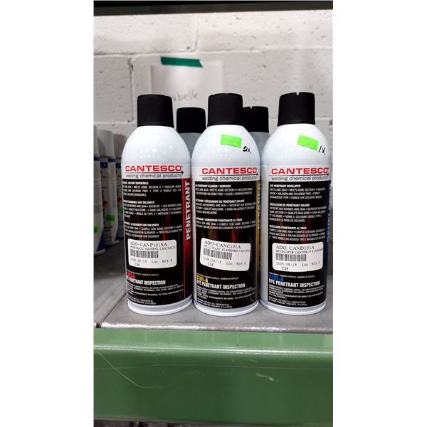 LOT DE 5 PRODUITS CANTESCO ASSORTIS