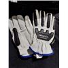 Image 1 : PAIRE DE GANTS FORCEFIELD, GRANDEUR 10