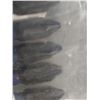 Image 3 : PAQUET DE 10 EMBOUTS DE TOURNEVIS PHILLIPS NO 1, 3-1/2 PO