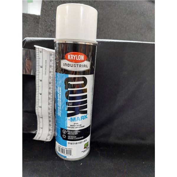 PEINTURE À BASE D’EAU KRYLON QUICK-MARK