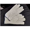 Image 1 : PAIRE DE GANTS EN CUIR, GRANDEUR MÉDIUM