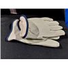 Image 1 : PAIRE DE GANTS DE TRAVAIL