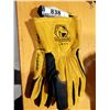 Image 1 : GANTS TIG BLACK STALION GR. LARGE