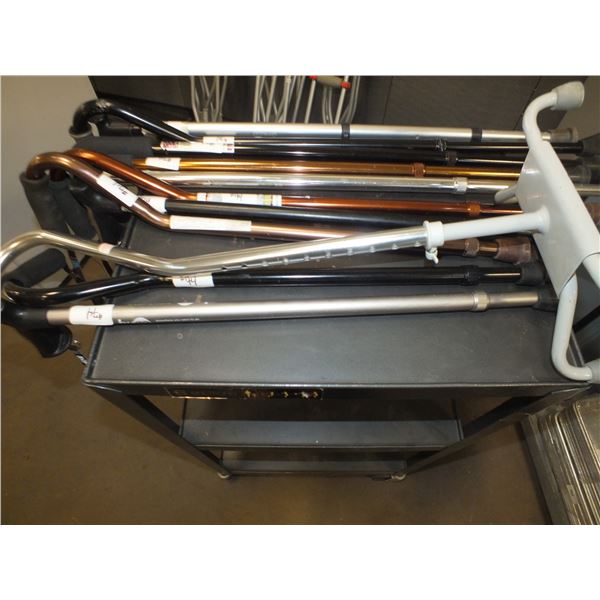 11 Assorted Walking Canes