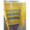 Image 2 : Flammable Storage Cabinet