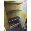 Image 2 : Flammable Storage Cabinet