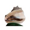 Image 3 : 4 Items: Novelty Bookends, Brass Bell, Large Shell, Green Glass Dish