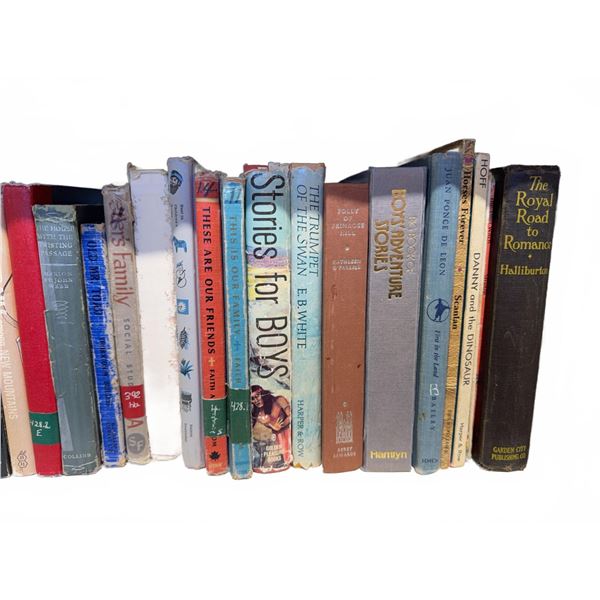 Vintage Children's and Young Adult Books Including Raggedy Ann and Tarzan