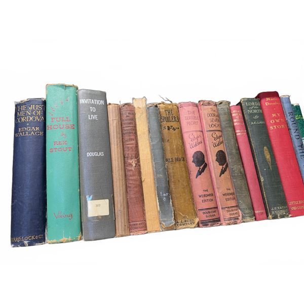 Vintage Hardcover and Paperback Books Shelf Lot