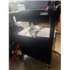 Image 3 : Uline AV Cart with Aopen 27" Monitor Model 27SB2 25"X19"x41"