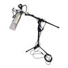 Image 1 : Apex Large Studio Mic. w/Shock Mount, Boom Stand & Cable