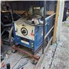 Image 1 : Miller Dialarc 250P AC/DC Arc Welder on Wheeled Base Cart