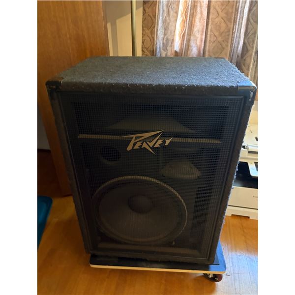 Peavey Professional PA Speaker Cabinet