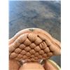 Image 21 : Vintage Tufted Love Seat 60"X32"x18" (RH Side of 3 PC Set if Wanted to Make Back to Sectional) (Cosm