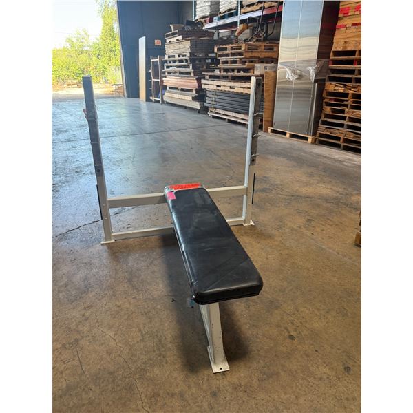 Precor 48" Wide Weight Bench (Missing Bolts)