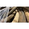 Image 5 : PALLET OF ASSORTED HEAVY DUTY INDUSTRIAL SANDBLASTING HOSE