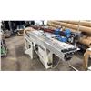 Image 2 : MJ6123/MJ-45 INDUSTRIAL GRADE SLIDING TABLE PANEL SAW WITH CUSTOM BUILT WOOD TABLE EXTENSION