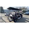 Image 3 : SDLANCH SDLGC100 *BLACK* 6 SEAT ELECTRIC GOLF CART WITH 4KW AC MOTOR, 50 MILE RANGE, 23-24 MPH TOP