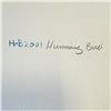 Image 3 : Ben Houstie 2001 Humming Bird Original Painting on Card Stock (14.75 x 18.5 in.)