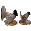 Image 1 : 2 Carved Ruffled Grouse Sculptures on Wood Bases by C. E. Hiebert