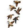 Image 1 : Flock of Hand Carved Wood Wall Ducks by Casey Hiebert