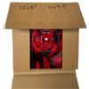 Image 3 : Coming Soon!