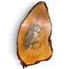 Image 1 : Hand Carved Owl Sculpture by C. Hiebert Mounted on a Live Edge Wall Plaque - 7" x 9" x 17" tall