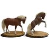 Image 1 : 2 Casey Hiebert Hand Carved Horse Figures on Burl Wood Bases- Rearing Horse is 9" tall on a 8" x 5"