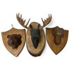 Image 1 : 3-piece Lot - Black Bear, Stag & Bighorn Ram on Wall Plaques, H10" x 9" & 8" x 6.5" (2)